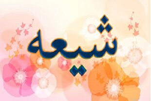 تشیع؛ امتداد اصیل هدایت نبوی در پرتو مرجعیت اهل‌بیت(ع)
