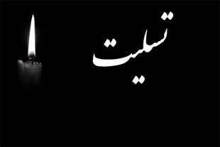 پیام تسلیت شورای عالی قرآن در پی درگذشت مجید زکی‌لو