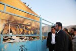 ایثار و مظلومیت شهدای لامرد در کتابی مصور ثبت و منتشر می‌شود