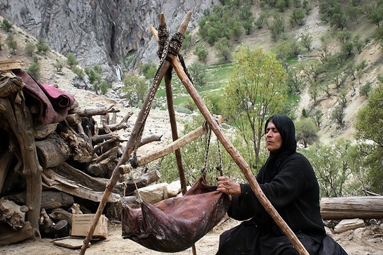 عشایر