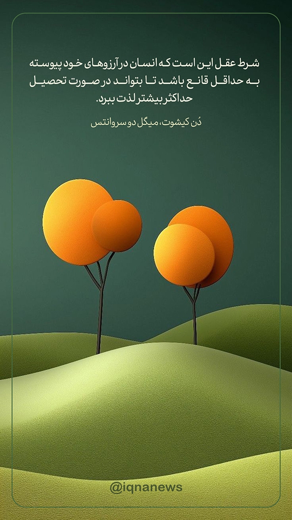 دن کیشوت