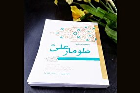 از ابراز ارادت به ساحت اهل بیت(ع) تا مشکلات حوزه نشر