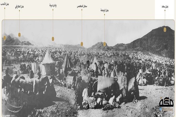 عرفات؛ اوج سفر معنوی حج با وقوف در صحرای وسیع رحمت الهی