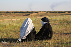 خلوت کردن دانشجویان در شرهانی