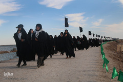 زائران طلاییه
