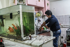 اماده شدن برای اقامه نماز 