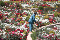 آماده سازی بیست و نهمین نمایشگاه کتاب