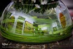 افتتاح نمایشگاه نقاشی خط ربنا