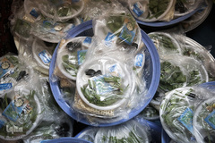 سفره افطار کریم اهل‌بیت(ع)در کوچه پس کوچه‌های جنوب تهران