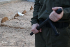 	همایش بهشت پشت میله های جهالت