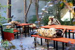 اینها در شهر بیداری همیشگی را انتخاب کردند