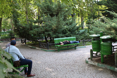 اینها در شهر بیداری همیشگی را انتخاب کردند