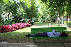 اینها در شهر بیداری همیشگی را انتخاب کردند