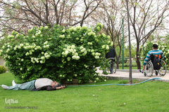 اینها در شهر بیداری همیشگی را انتخاب کردند