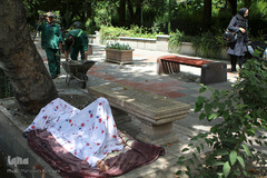 اینها در شهر بیداری همیشگی را انتخاب کردند