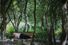 اینها در شهر بیداری همیشگی را انتخاب کردند