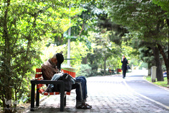 اینها در شهر بیداری همیشگی را انتخاب کردند