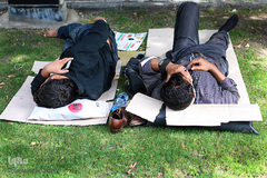 اینها در شهر بیداری همیشگی را انتخاب کردند