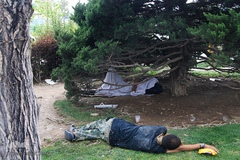 اینها در شهر بیداری همیشگی را انتخاب کردند