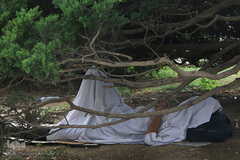 اینها در شهر بیداری همیشگی را انتخاب کردند