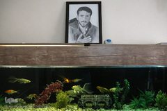 شهید مدافع حرم «مصطفی صدرزاده»