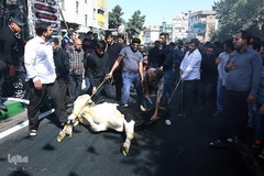 تشییع پیکر شهید مدافع حرم سجاد زبرجدی در محله خانی ابادنو