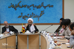 نشست نهاد ظرفیت های پیشرفت در تراژه اسلامی