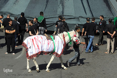 عاشورای حسینی در چهارراه گلوبندک