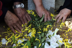 مراسم تدفین پیکر مرحوم استاد «محمد تقی مروت» در قطعه نام آوران بهشت زهرا