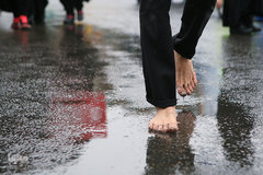 مراسم پیاده روی روز اربعین در تهران