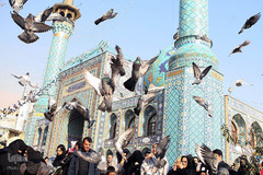 پیاده روی جامانگان حرم امام رضا(ع) تا امام زاده صالح(ع)