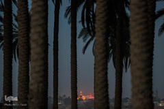 زائران حرم امامین عسکریین(ع)