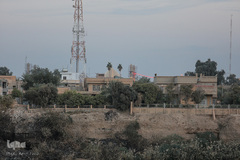 زائران حرم امامین عسکریین(ع)