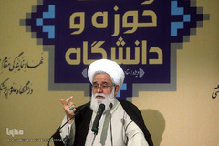 حجت الاسلام علی اکبر صادقی رشاد،عضو شورای عالی انقلاب فرهنگی