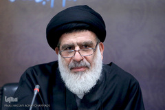 حجت الاسلام سید محمود امامیان