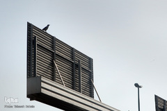 هوای ناپاک تهران در روز هوای پاک