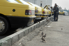 هوای ناپاک تهران در روز هوای پاک