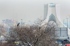 هوای ناپاک تهران در روز هوای پاک