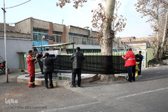 در سوگ آتش نشانان جانفشان