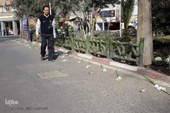 در سوگ آتش نشانان جانفشان