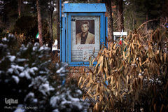 شهدای انقلاب اسلامی در قاب حجله