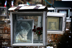 شهدای انقلاب اسلامی در قاب حجله