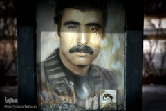 شهدای انقلاب اسلامی در قاب حجله