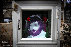 شهدای انقلاب اسلامی در قاب حجله