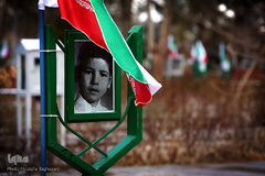 شهدای انقلاب اسلامی در قاب حجله