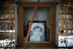 شهدای انقلاب اسلامی در قاب حجله