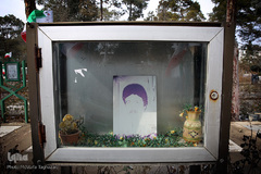 شهدای انقلاب اسلامی در قاب حجله