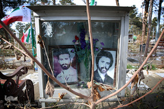 شهدای انقلاب اسلامی در قاب حجله