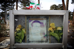 شهدای انقلاب اسلامی در قاب حجله