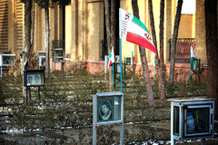 شهدای انقلاب اسلامی در قاب حجله